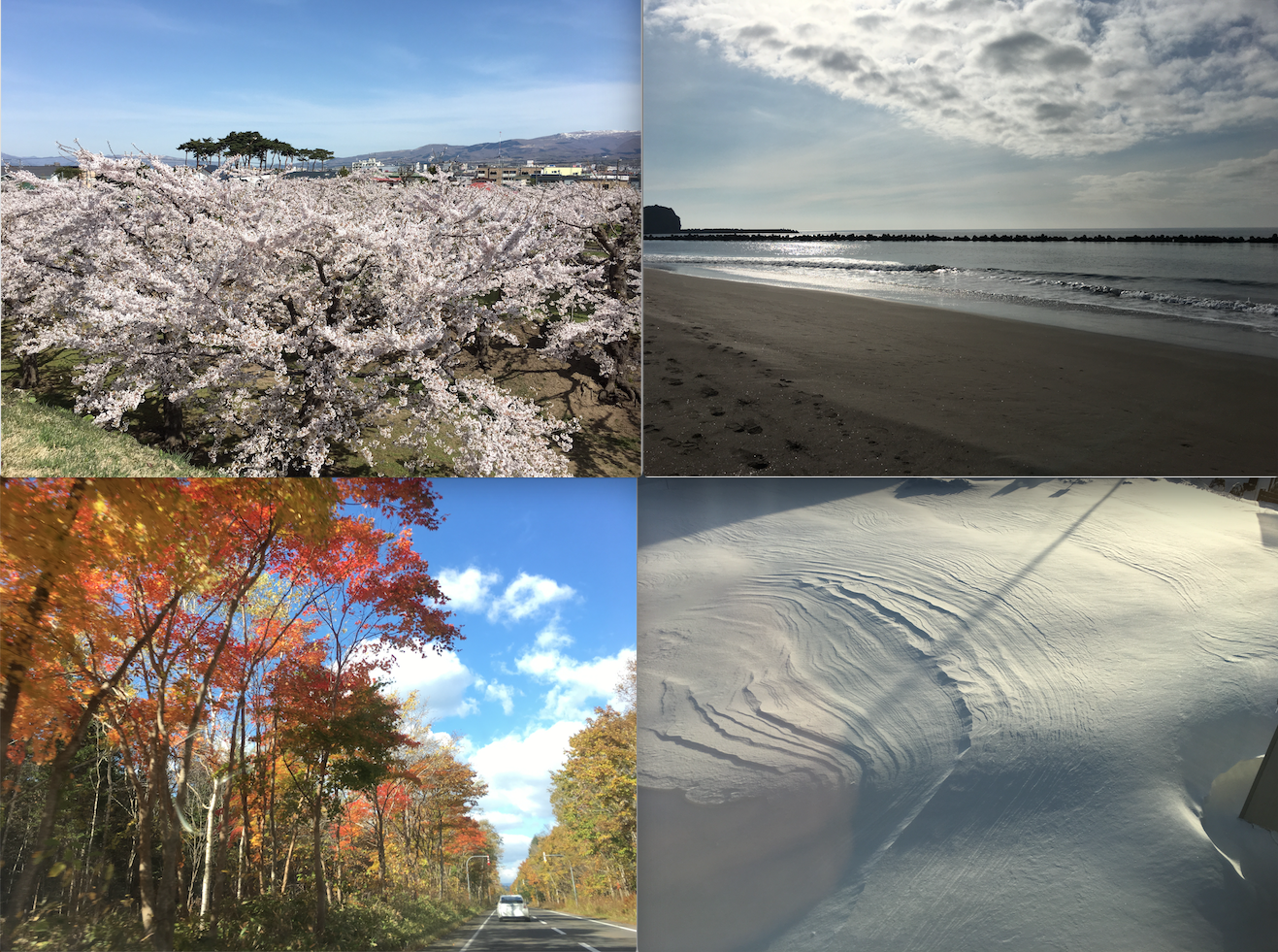 北海道の四季