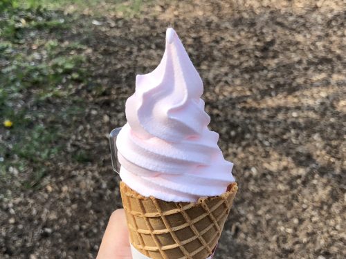 平岡公園の梅ソフトクリーム